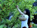 Vườn Rau Trong Mơ Của Lý Tử Thất
