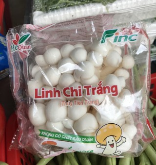 Nấm Linh Chi Trắng
