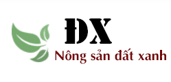 CÔNG TY TNHH NÔNG SẢN ĐẤT XANH